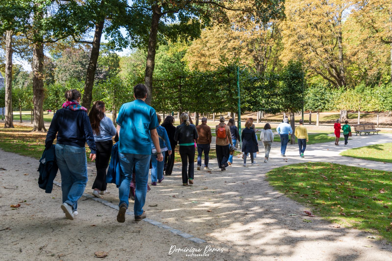 Accompagner les transitions humaines et organisationnelles